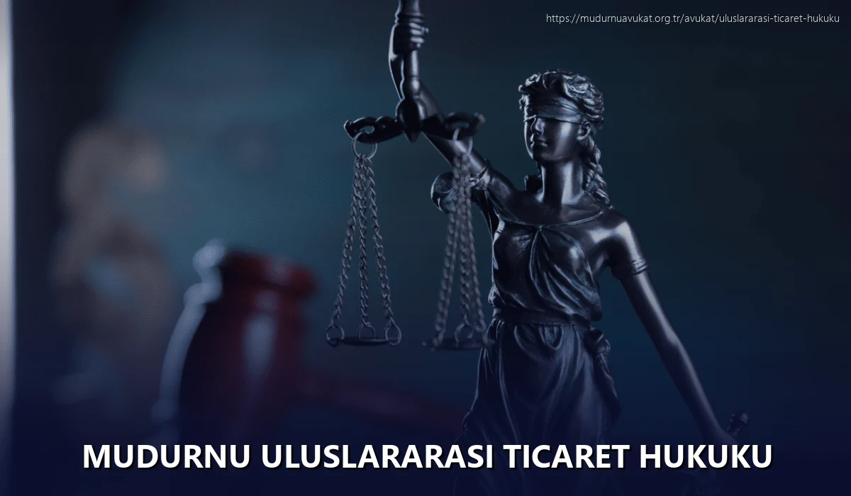 Mudurnu Uluslararası Ticaret Hukuku
